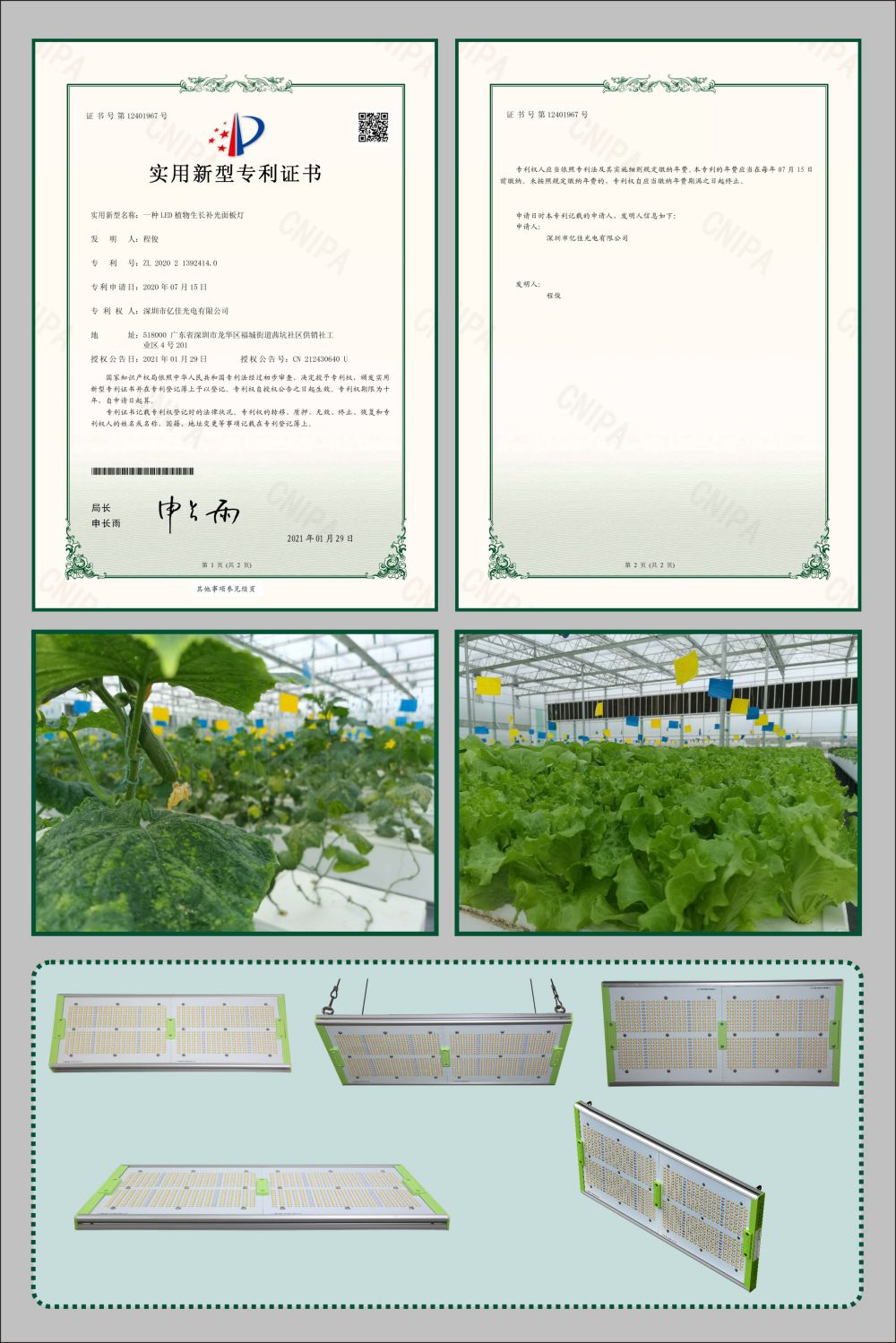 南宫电子游戏植物成长面板灯实用新型专利