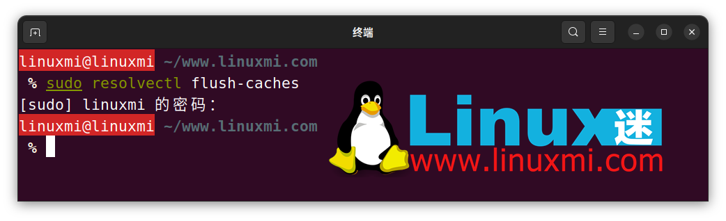  Linux ˢ DNS 